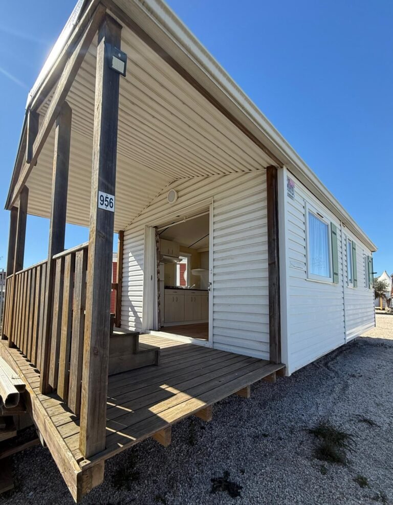 WhatsApp Image 2026-02-18 at 12.22.01