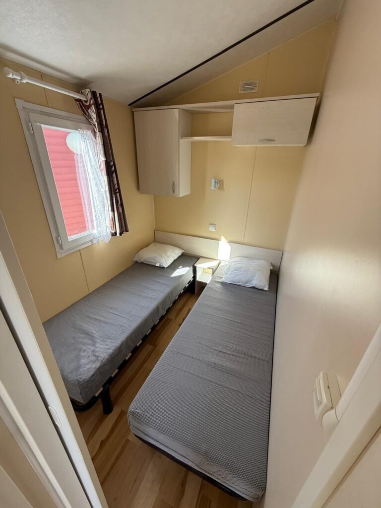 WhatsApp Image 2026-02-18 at 12.24.19 (1)