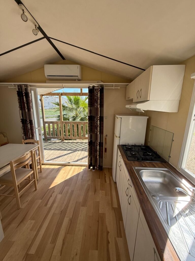 WhatsApp Image 2026-02-18 at 12.24.20 (1)