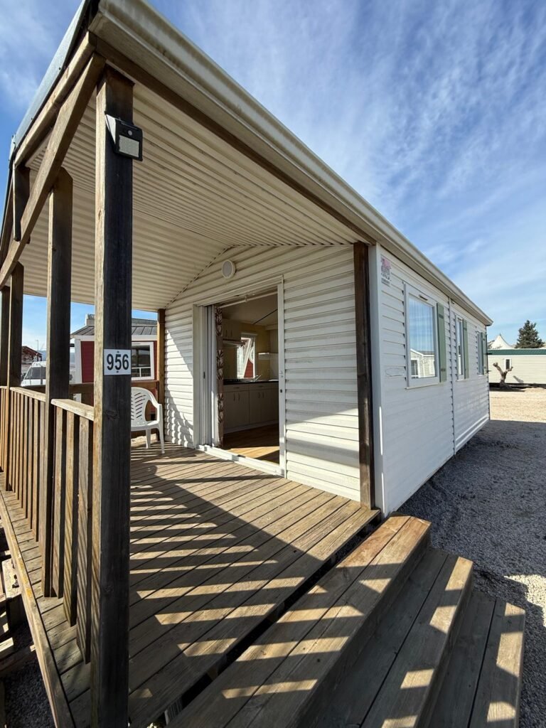 WhatsApp Image 2026-02-18 at 12.24.20