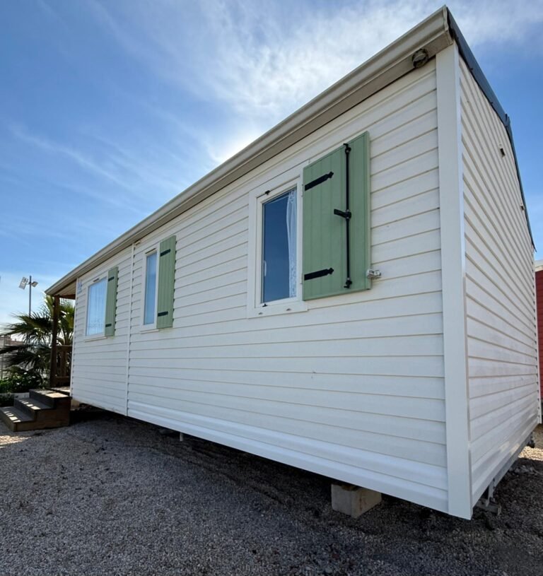 WhatsApp Image 2026-02-18 at 12.25.42