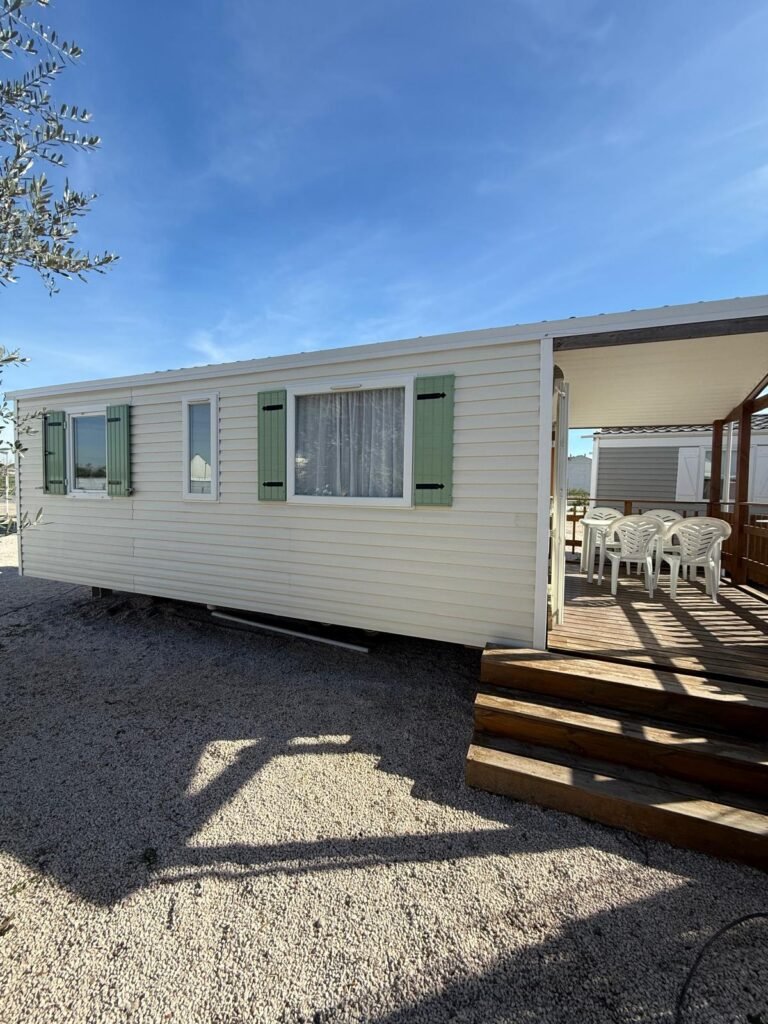 WhatsApp Image 2026-02-18 at 12.27.25 (11)