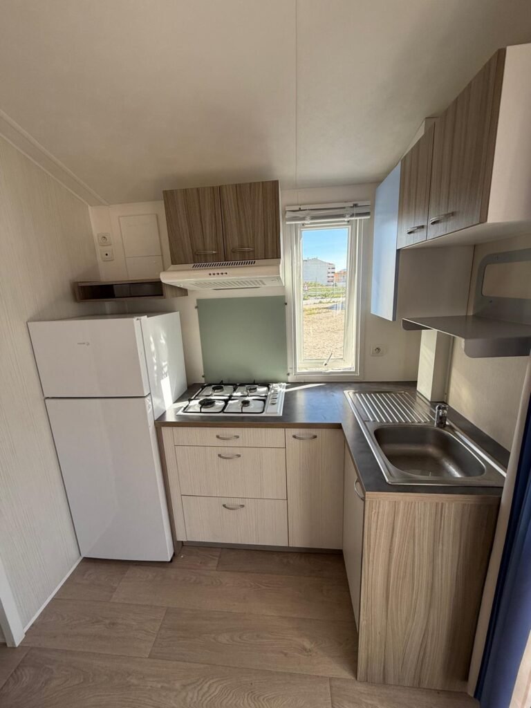 WhatsApp Image 2026-02-18 at 12.27.25 (3)