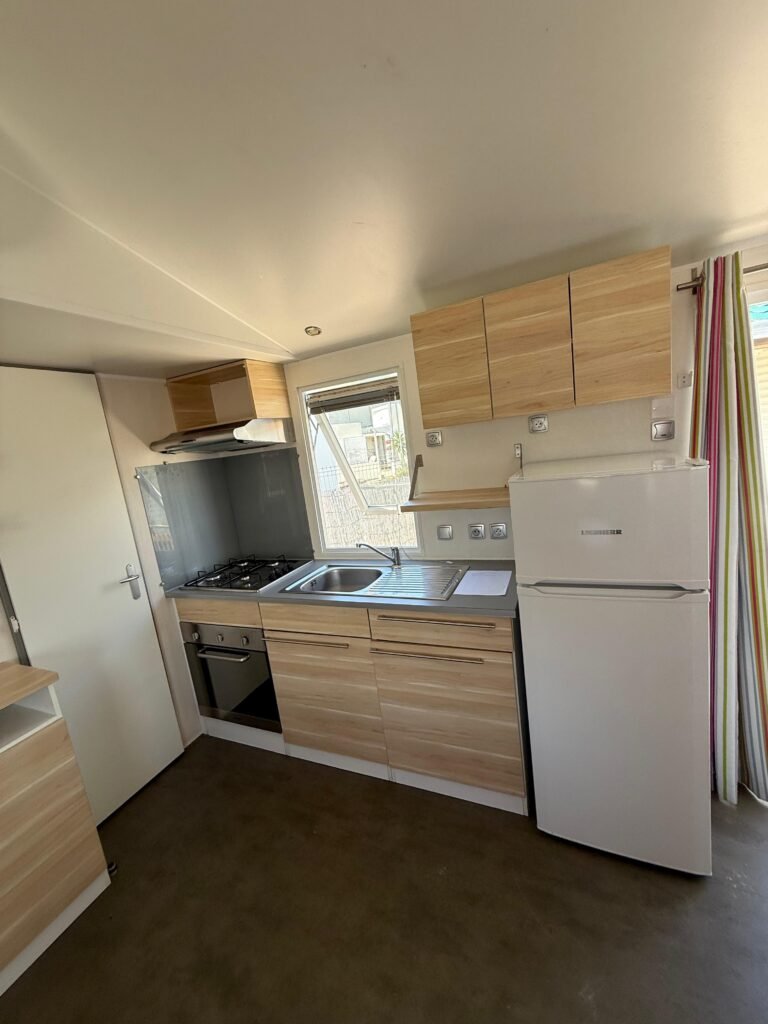 WhatsApp Image 2026-03-07 at 12.47.42