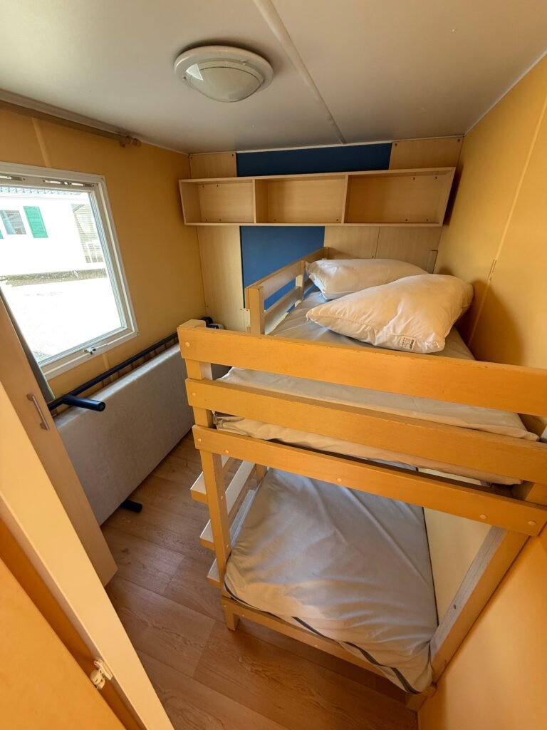 WhatsApp Image 2026-03-25 at 22.30.05