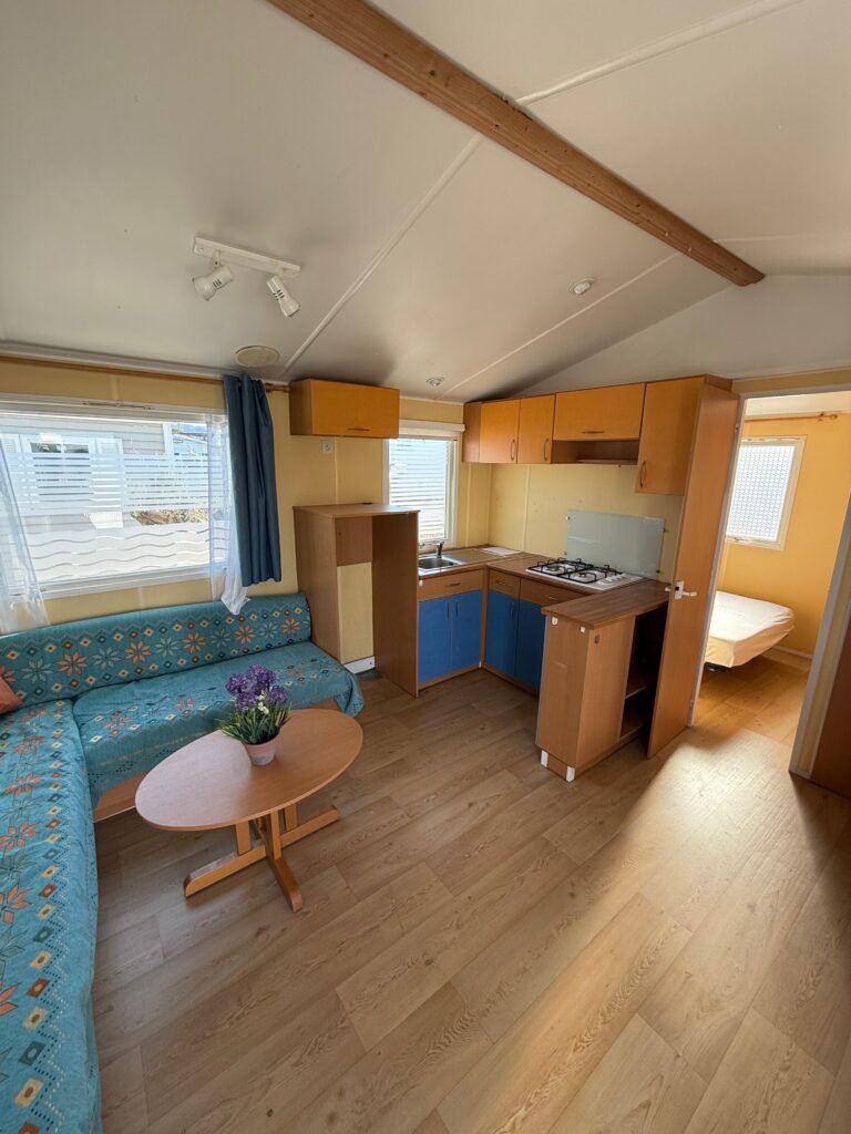 WhatsApp Image 2026-03-25 at 22.30.06 (1)