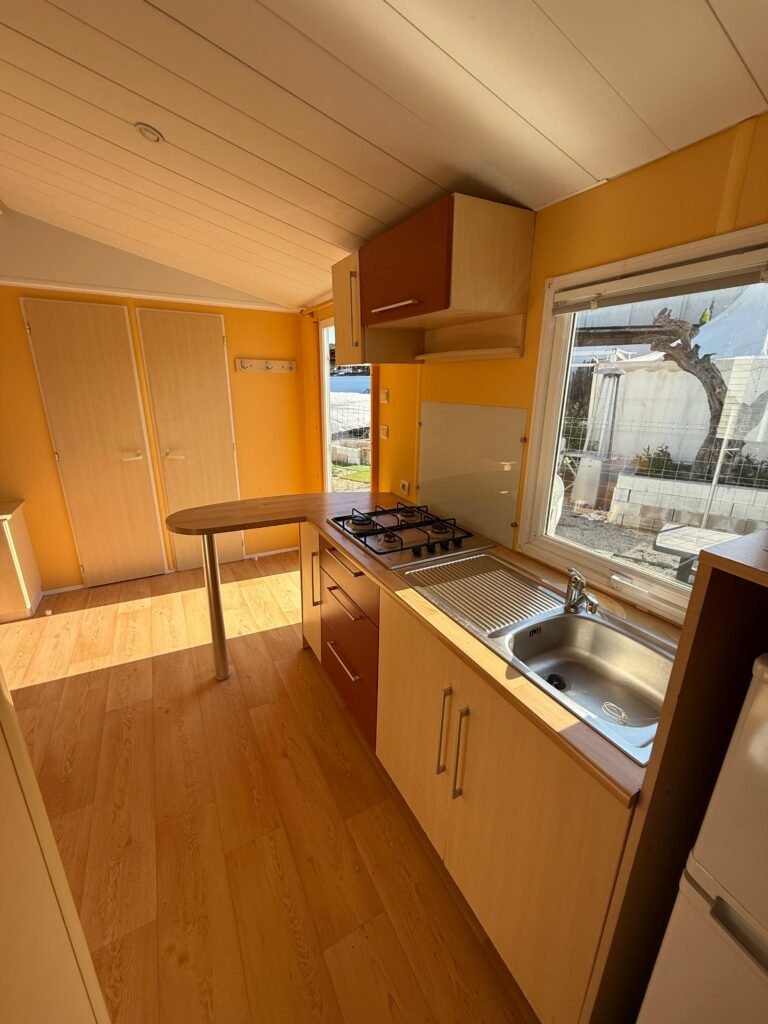 WhatsApp Image 2026-03-25 at 22.30.06